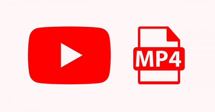 Как да конвертирате видеоклипове в YouTube в MP4, използвайки URL адрес в MP4 Converter-1